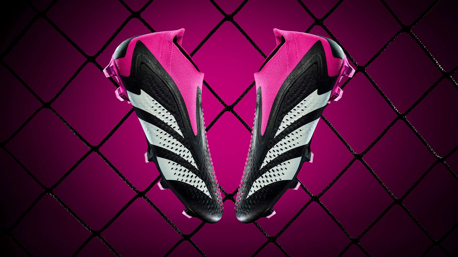 瑞士的战术 瑞士的战术