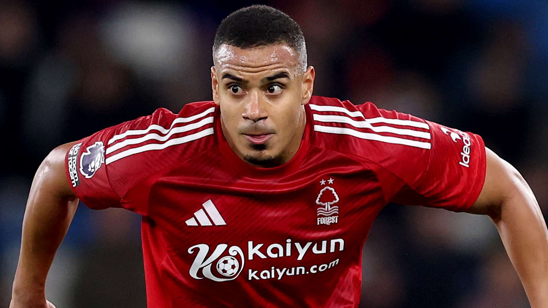 的热爱将始 的热爱将始